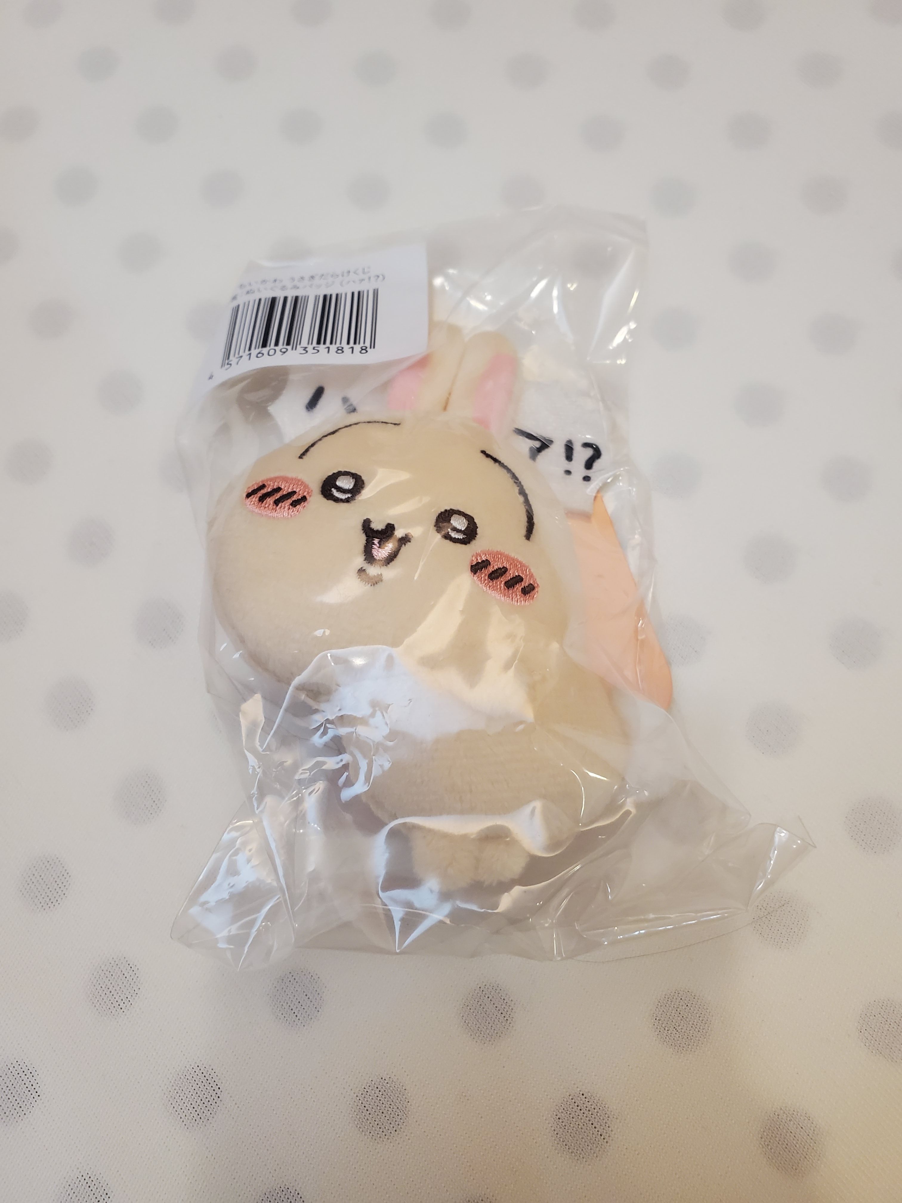 雨嵐之閣 日本 現貨 吉伊卡哇 一番賞 烏薩奇 E賞 吊飾娃娃 小可愛 Chiikawa