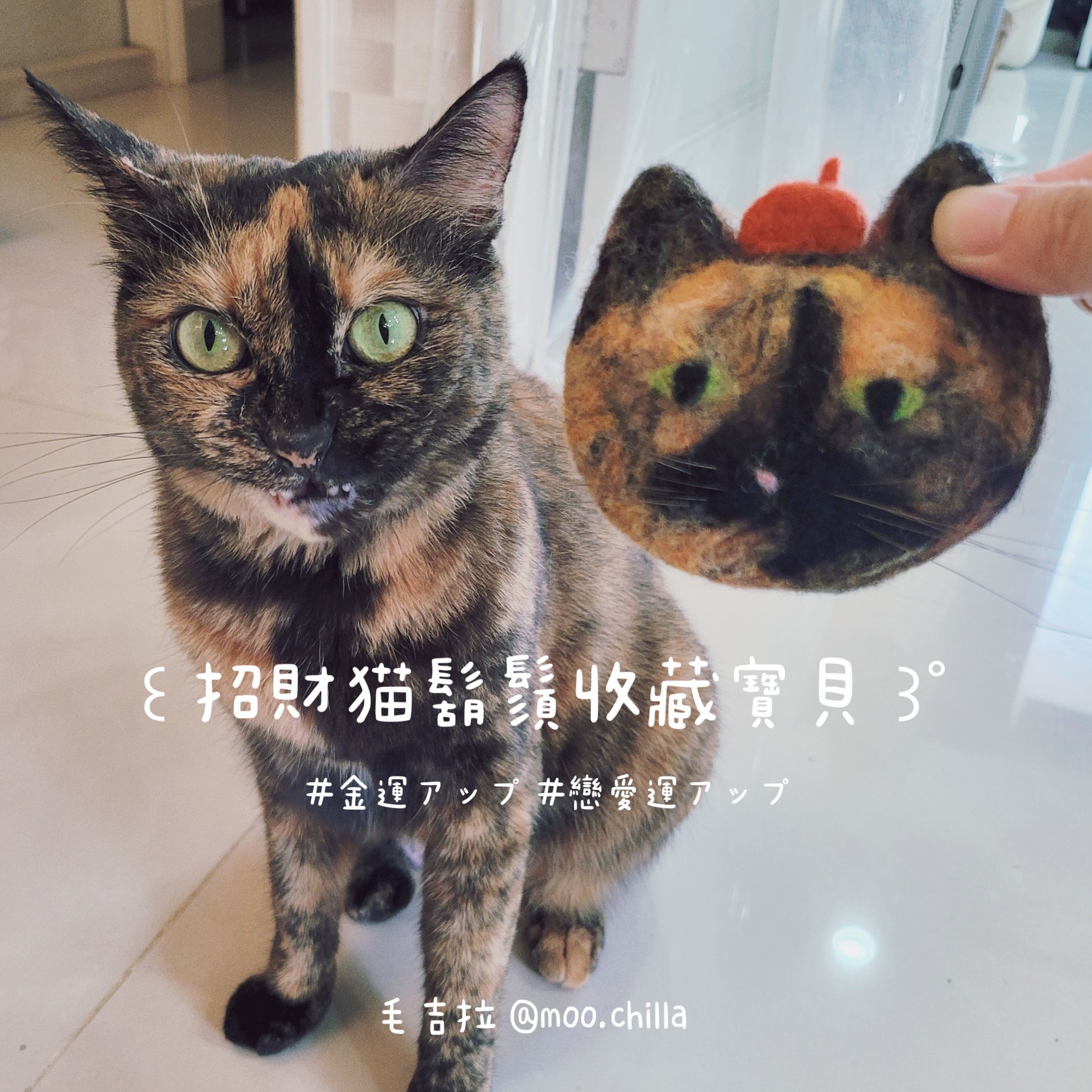 招財貓鬍鬚收藏磁鐵-玳瑁貓