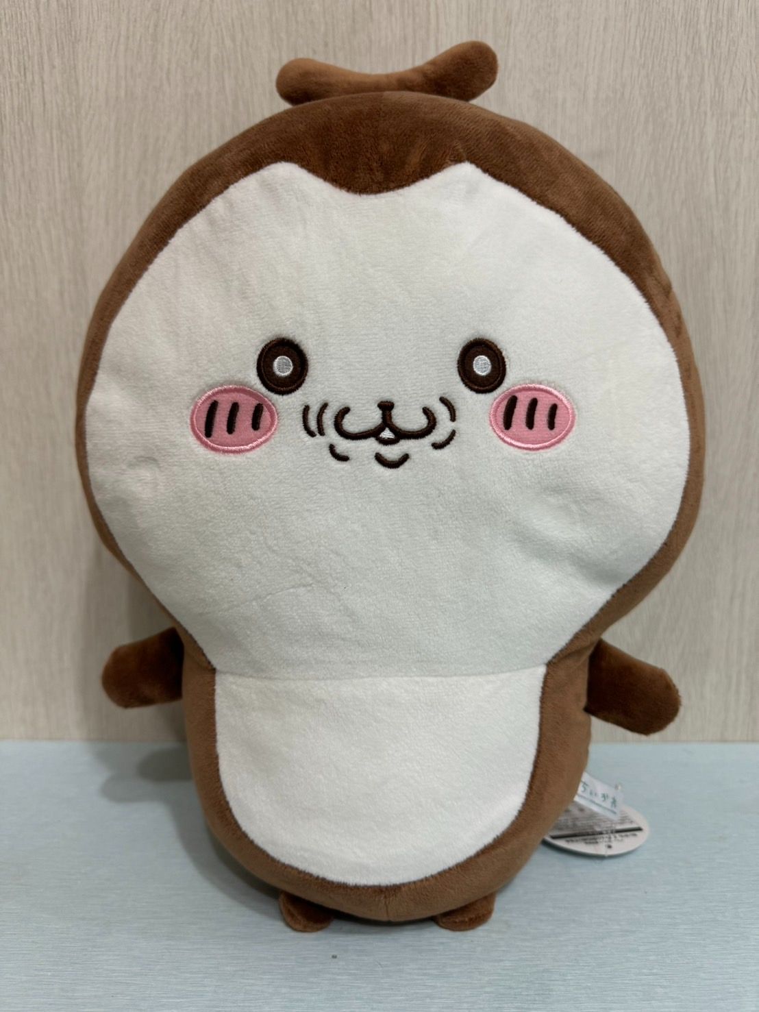 小甲蟲專區