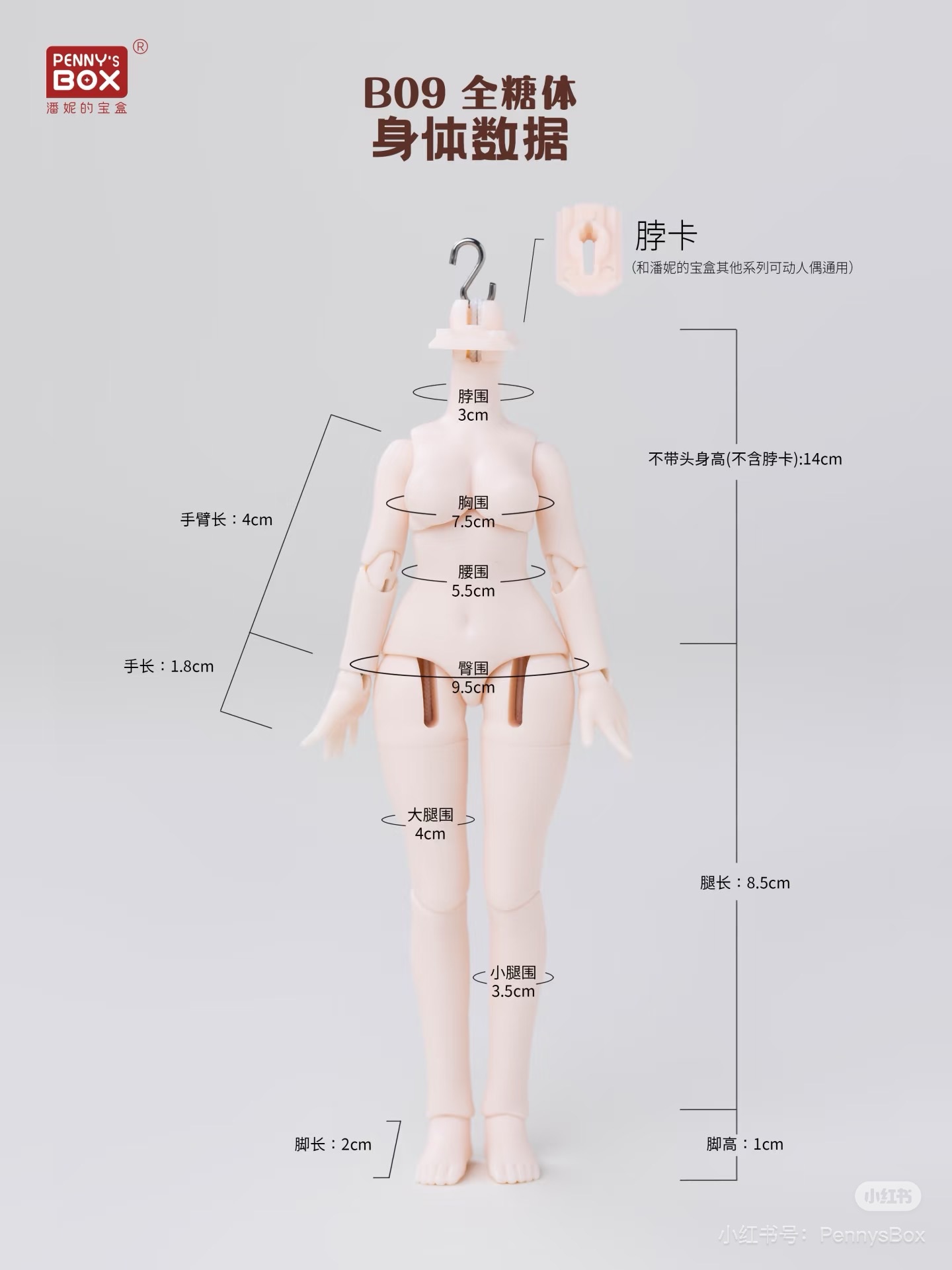 綜合素體/殺肉