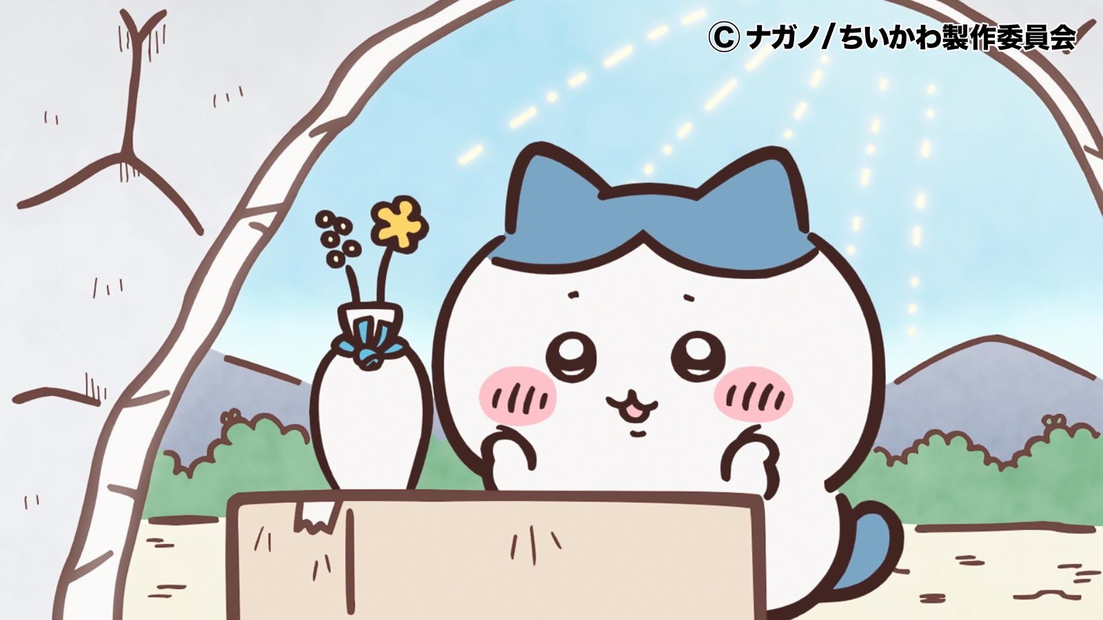 小八貓