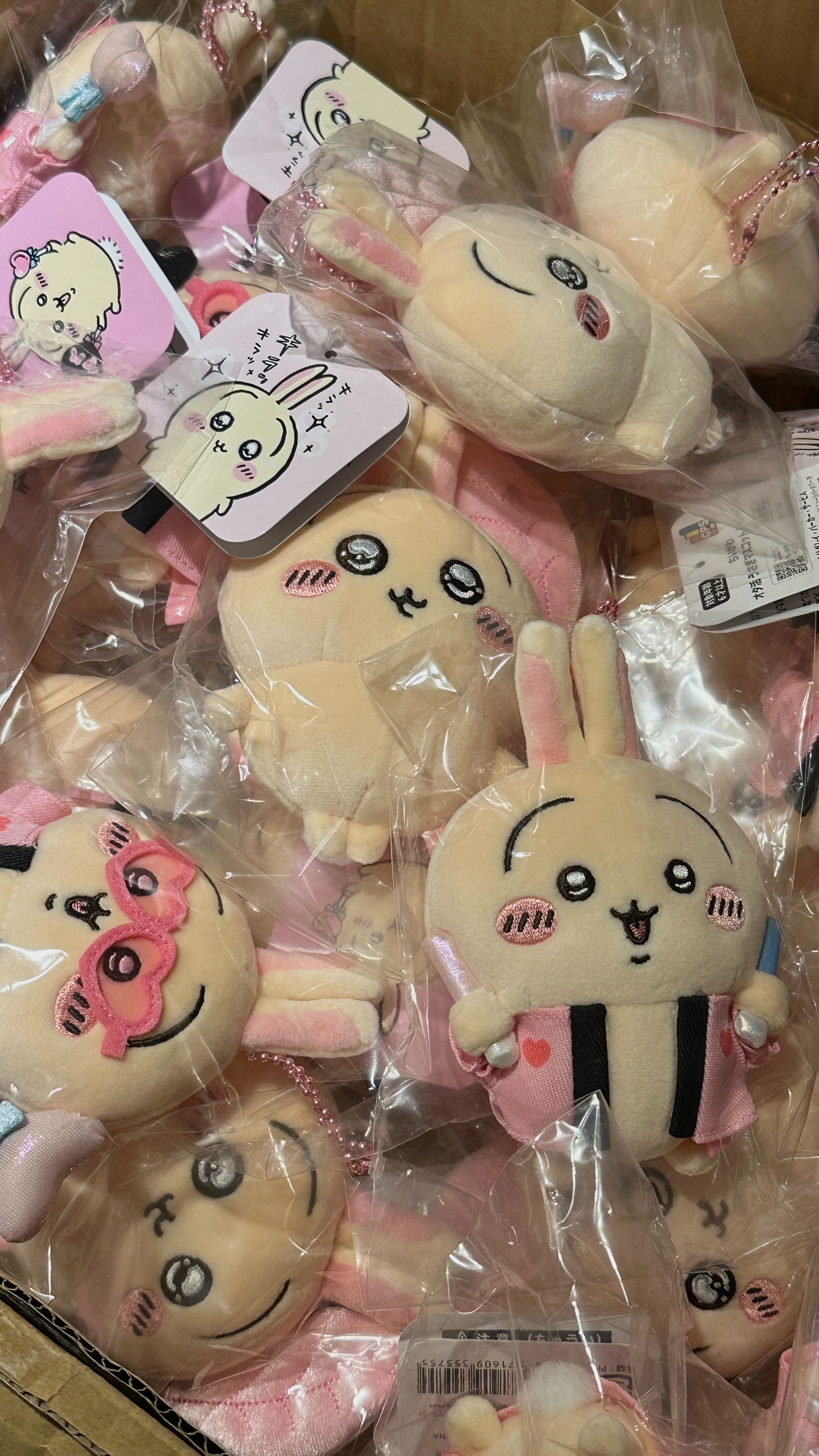 現貨｜水汪汪兔、應援兔、扇子兔