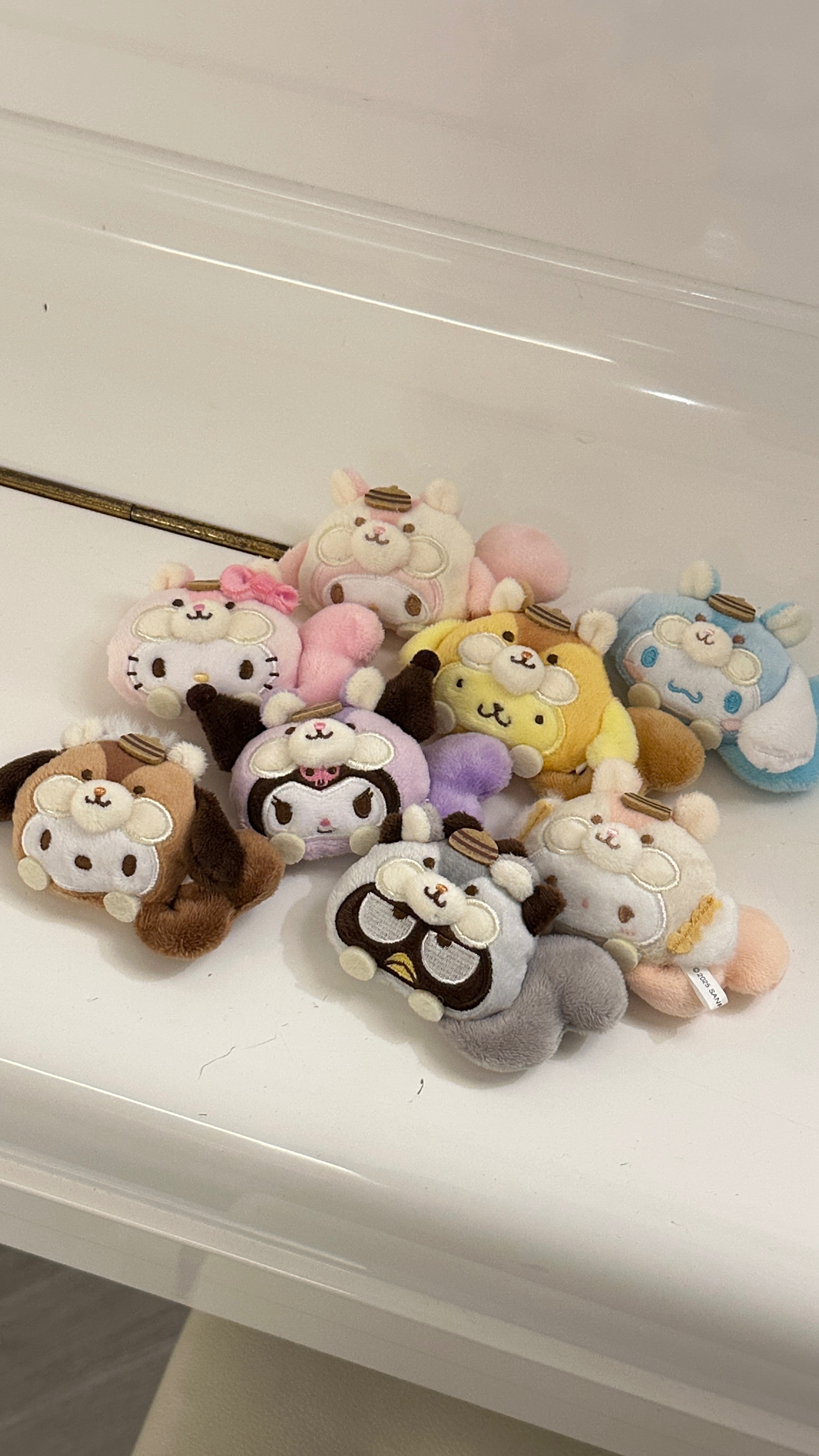 現貨｜三麗鷗毛絨絨松鼠徽章盲盒 確認款