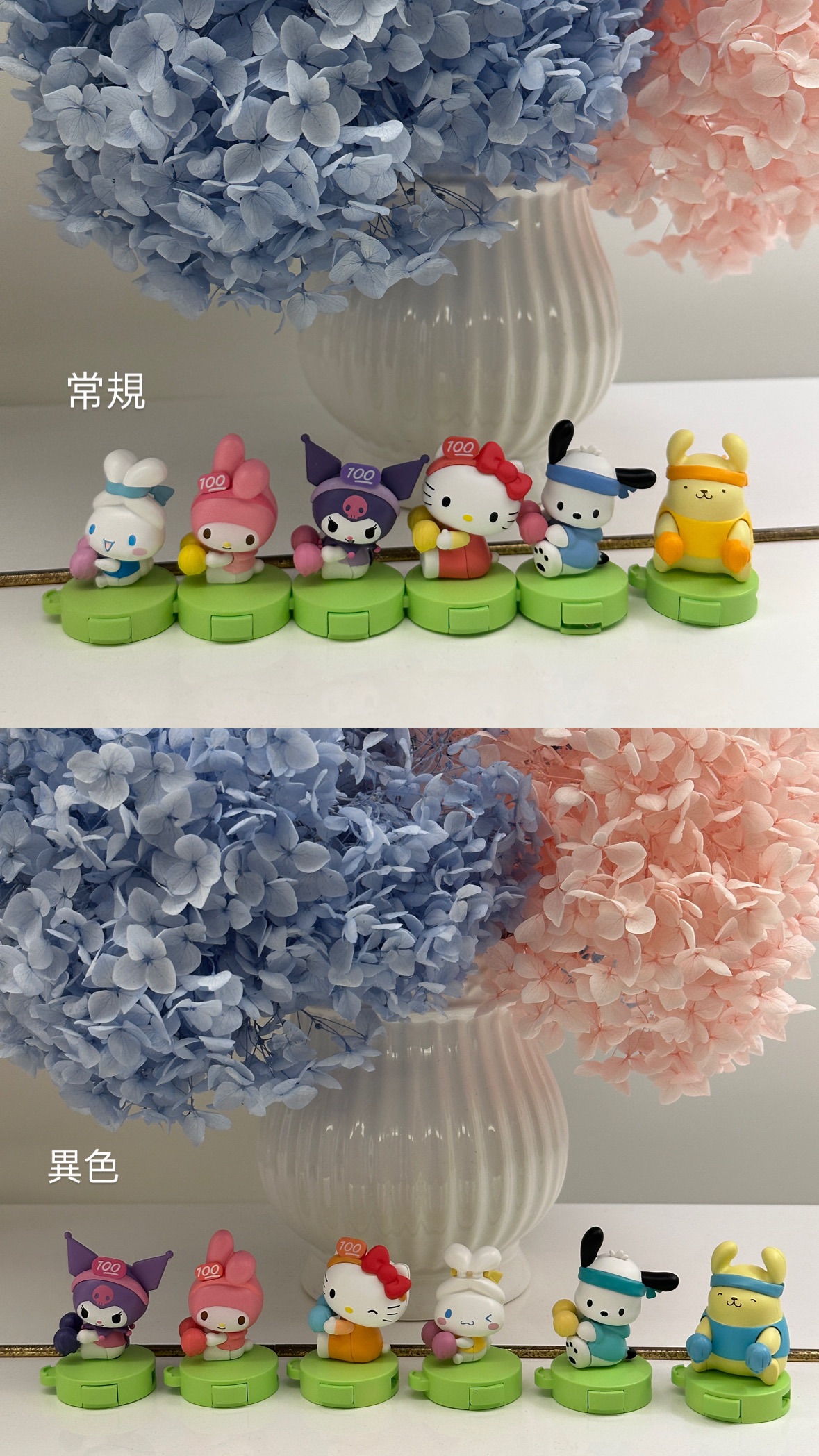 現貨｜三麗鷗滿分打氣團萌粒 確認款