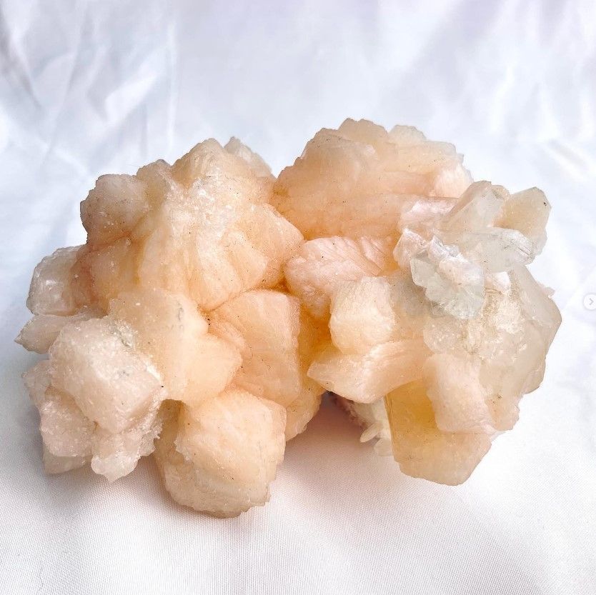 [192]沸石蝴蝶結 （ 43折 ）