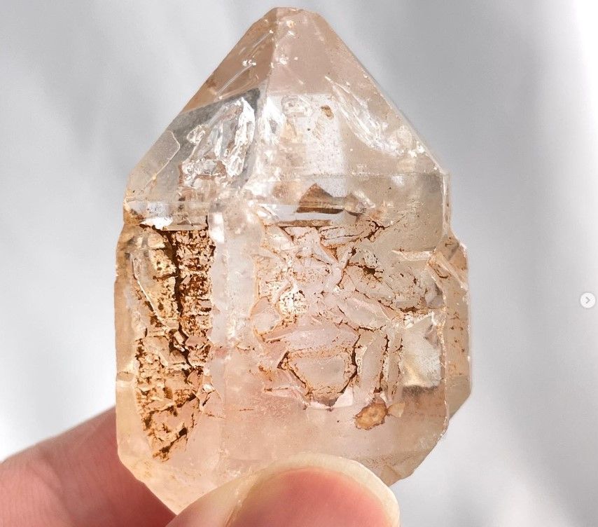 [201]馬達加斯加紅泥骸骨（ 64折 ）