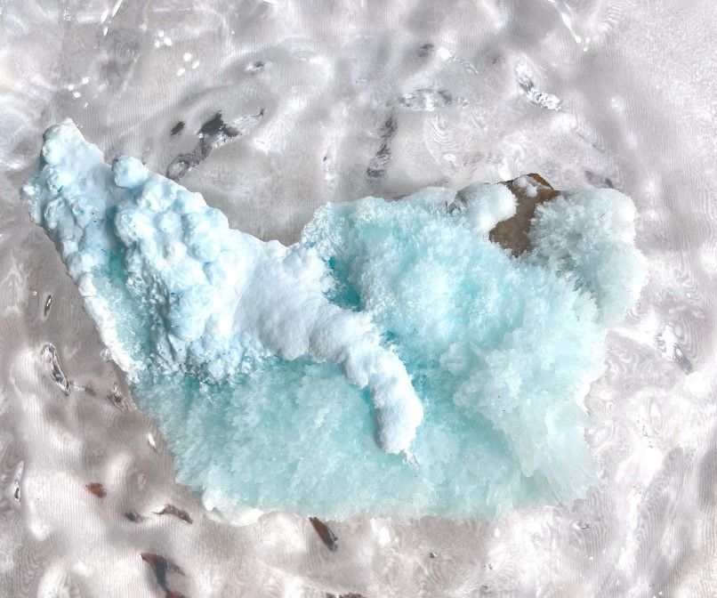 [317]藍文石 （ 7折 ）