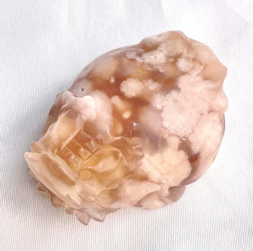 [460]櫻花瑪瑙龍龜 （ 7折 ）