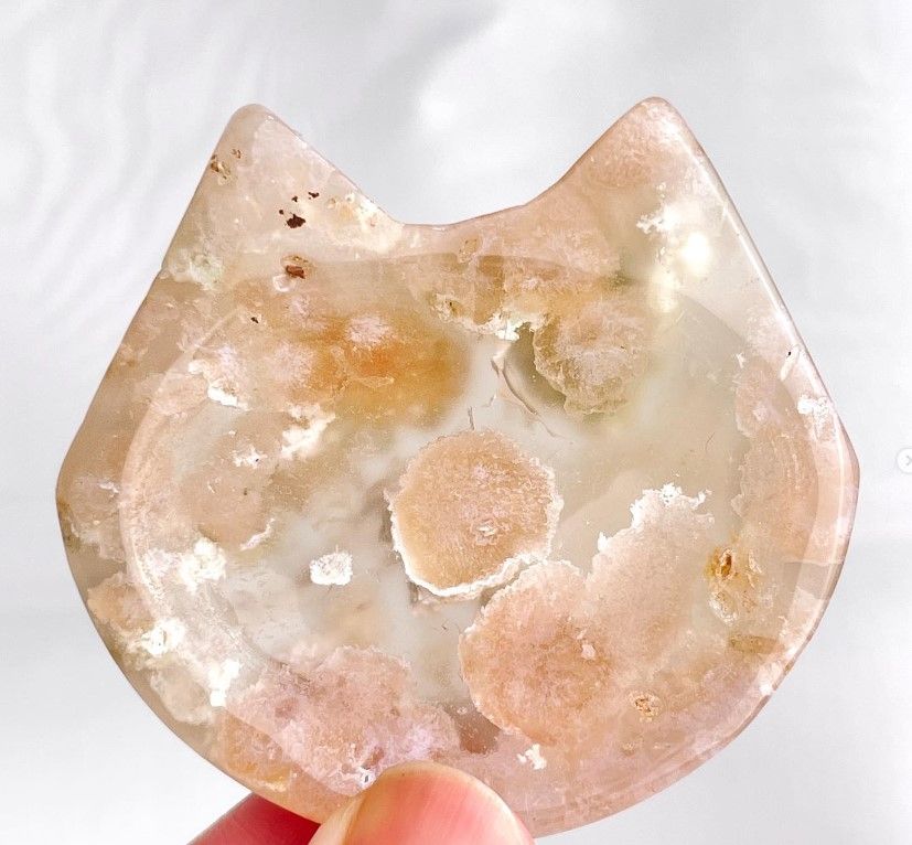 [477]櫻花瑪瑙貓貓盤 （ 7折 ）