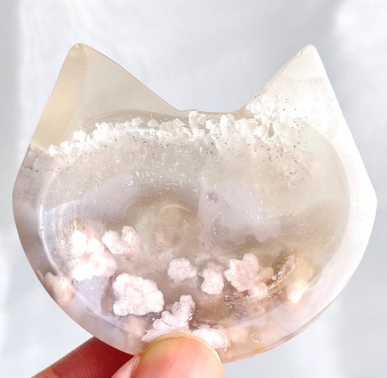 [478]櫻花瑪瑙貓貓盤 （ 7折 ）