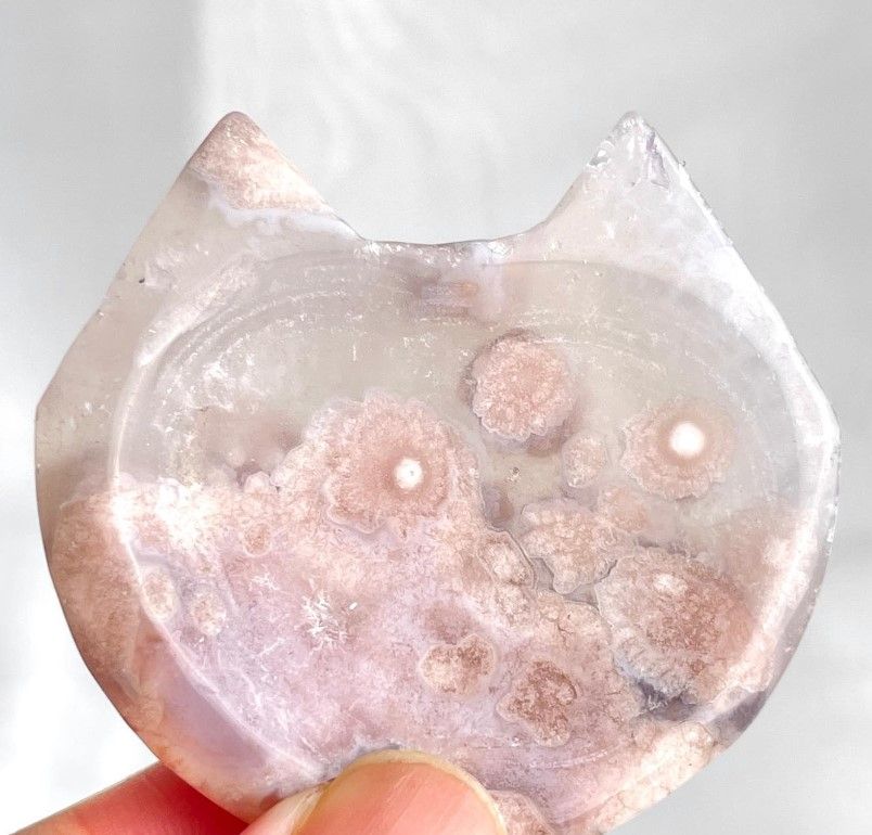 [479]櫻花瑪瑙貓貓盤 （ 7折 ）