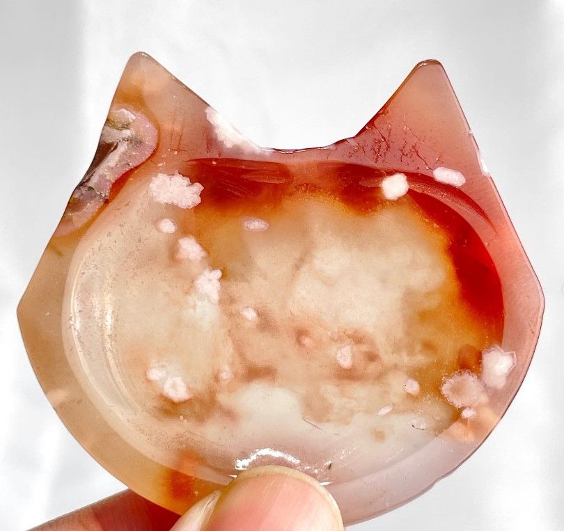 [481]櫻花瑪瑙貓貓盤 （ 7折 ）