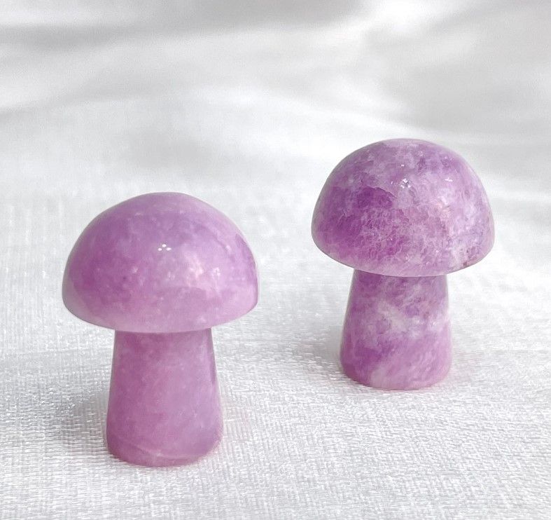 [560]紫雲母香菇 兩個一組 （ 7折 ）