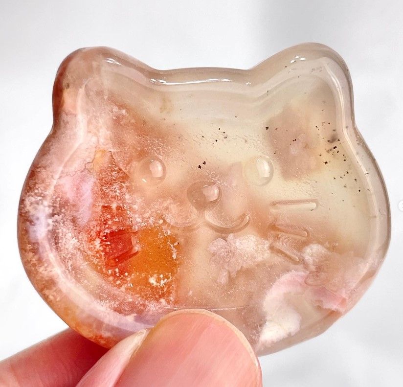 [565]櫻花瑪瑙貓貓盤 （ 7折 ）