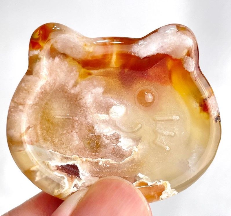 [569]櫻花瑪瑙貓貓盤 （ 7折 ）