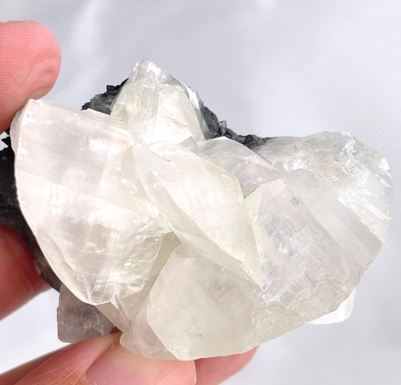 [612]貝殼方解石 （ 7折 ）