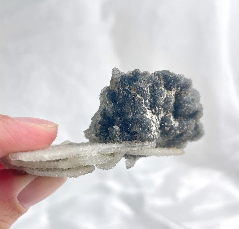 [685]黑軟糖貝殼方解 （ 7折 ）