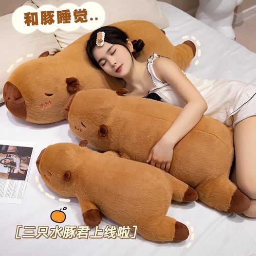 超可愛♥卡皮巴拉大抱枕