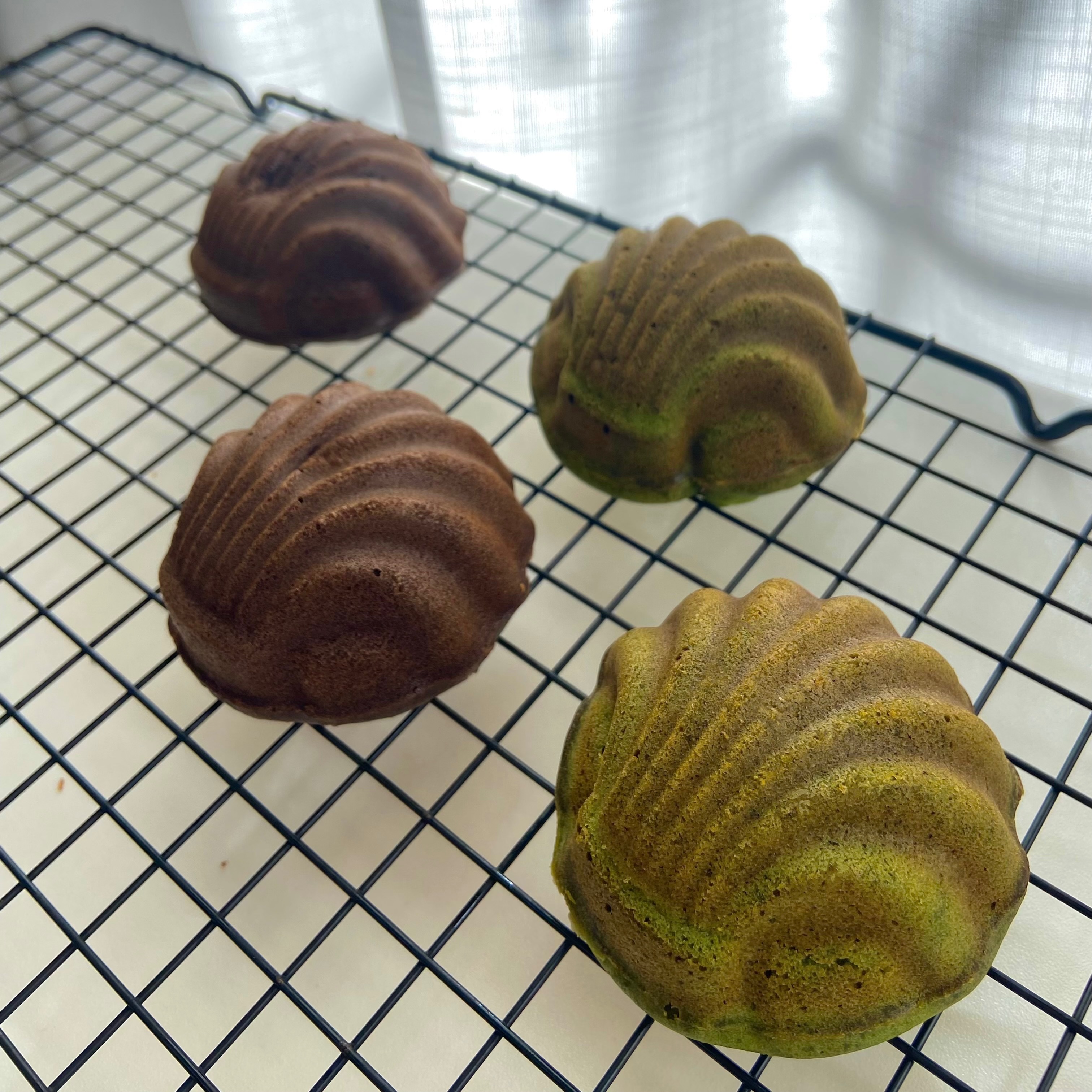 抹茶/焙茶白玉胖貝瑪德蓮