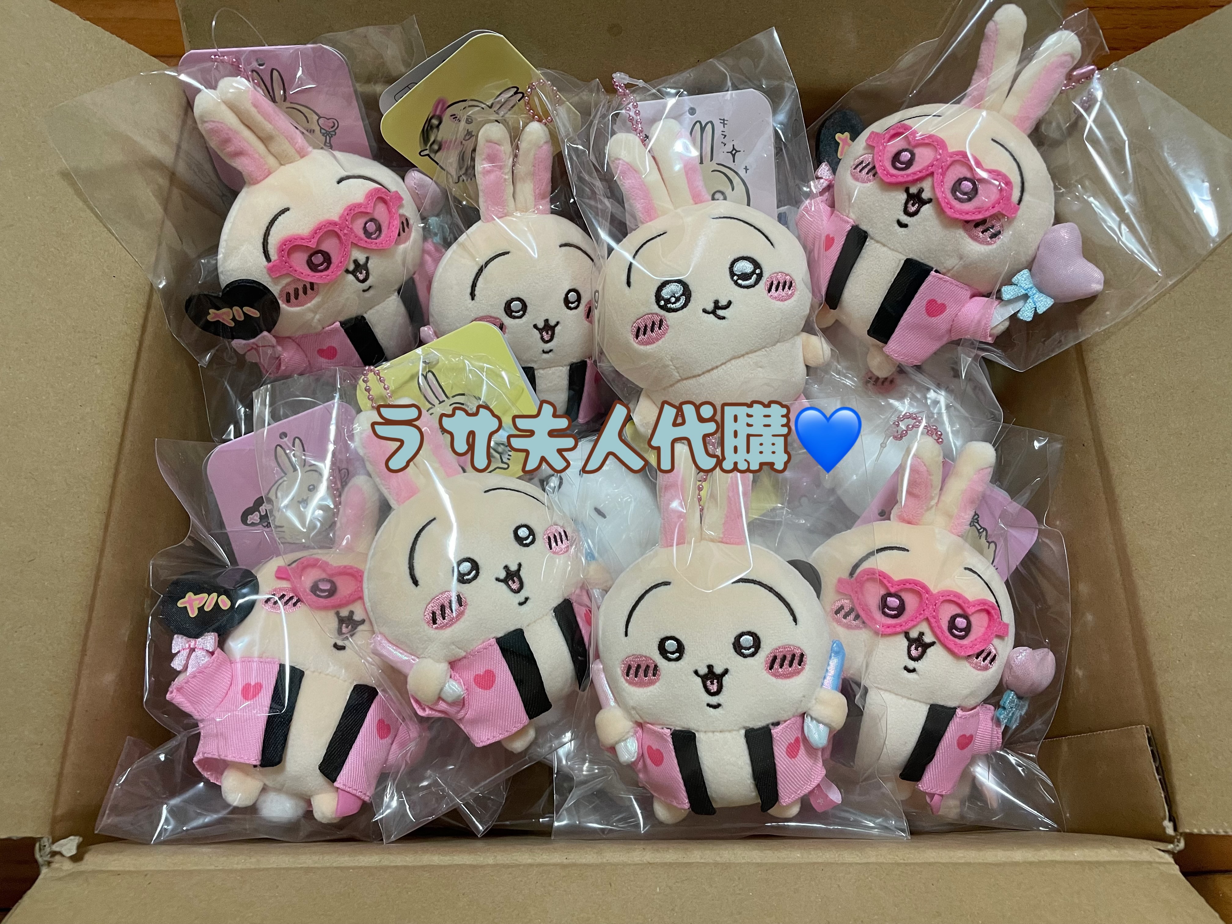 拉薩夫人🥹正版-追星應援兔兔 花粉症淚汪汪兔兔 壞笑吉伊