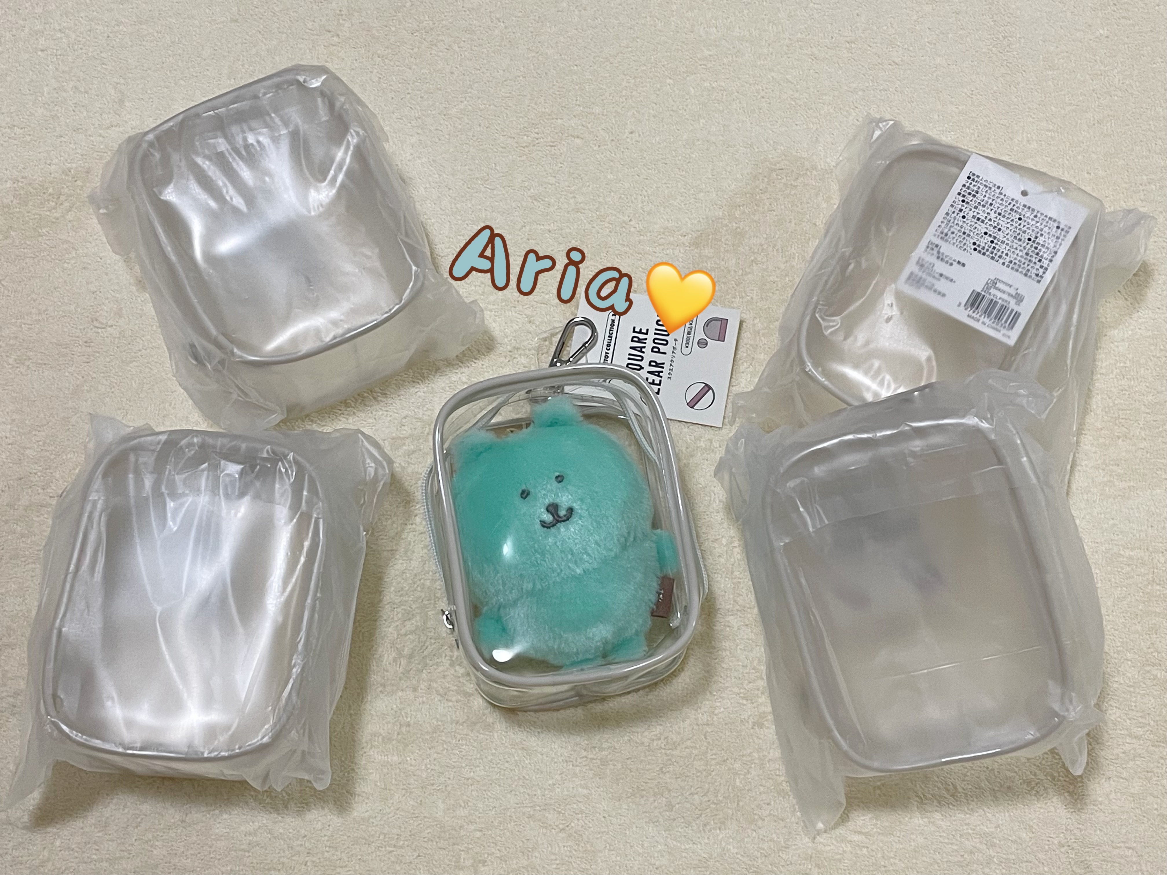 拉薩夫人✨3COINS 方形透明小型毛絨娃娃收納袋 nagano彩虹熊可裝