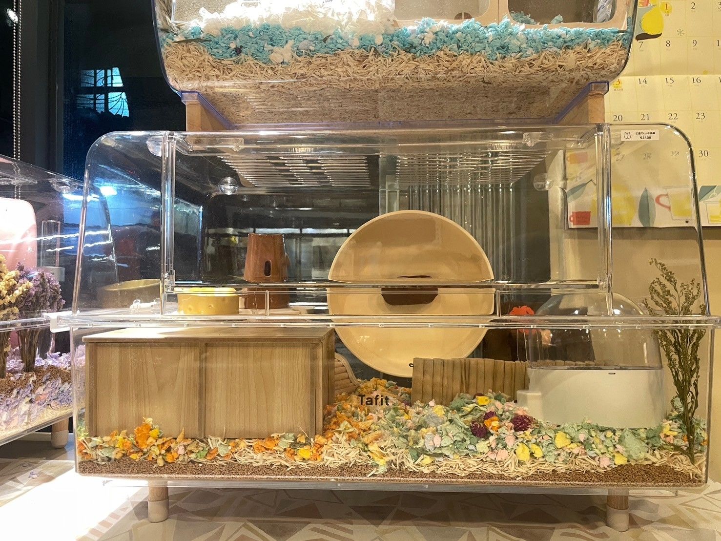 它適 全透明水晶籠 （75cm/88cm）