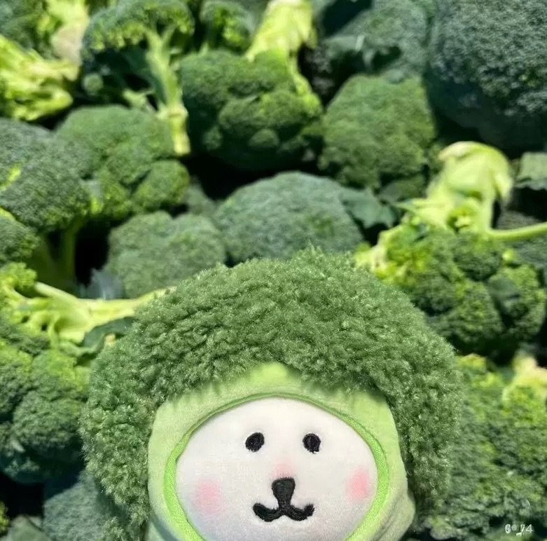 【預購】蔬菜🥦🥔造型10cm娃衣