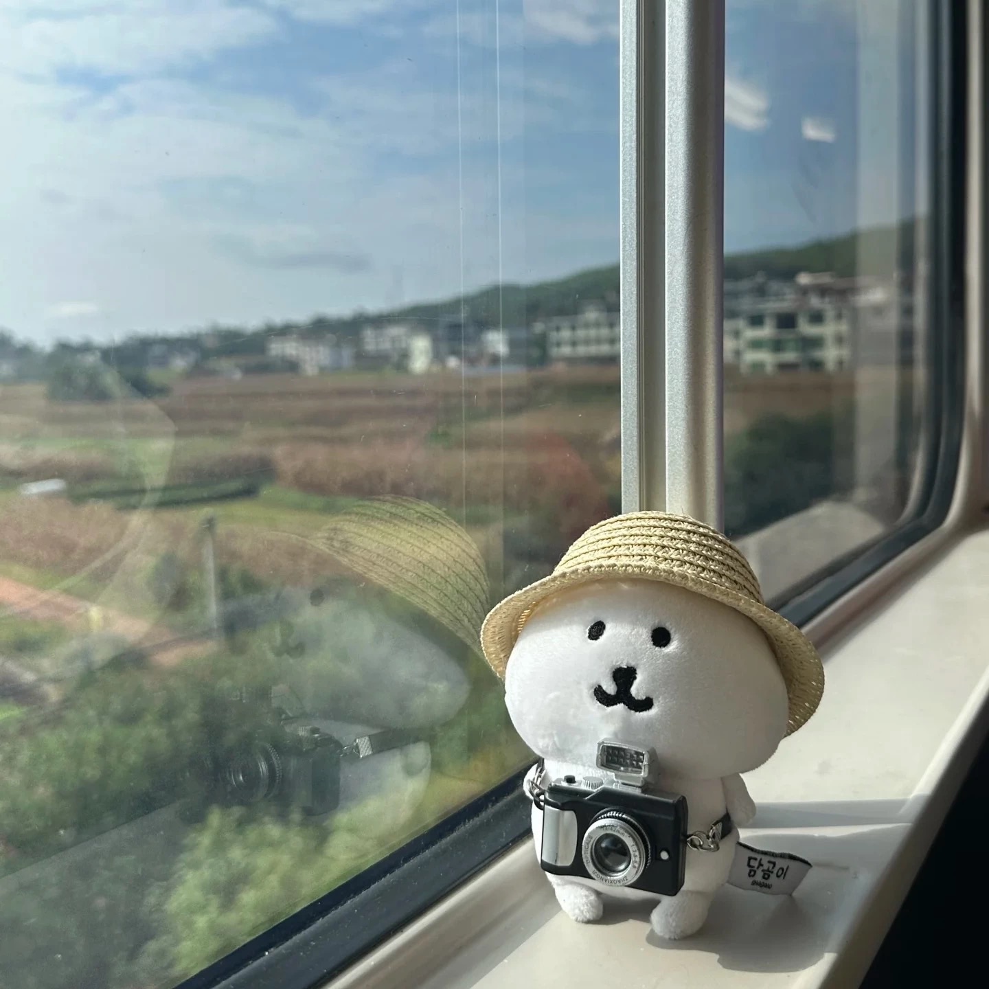 【預購】相機📷+草帽造型玩偶配件