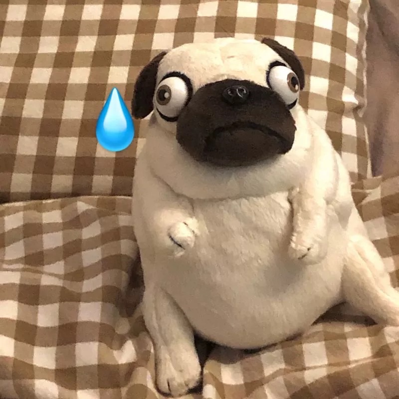 【預購】八哥造型吊飾/玩偶