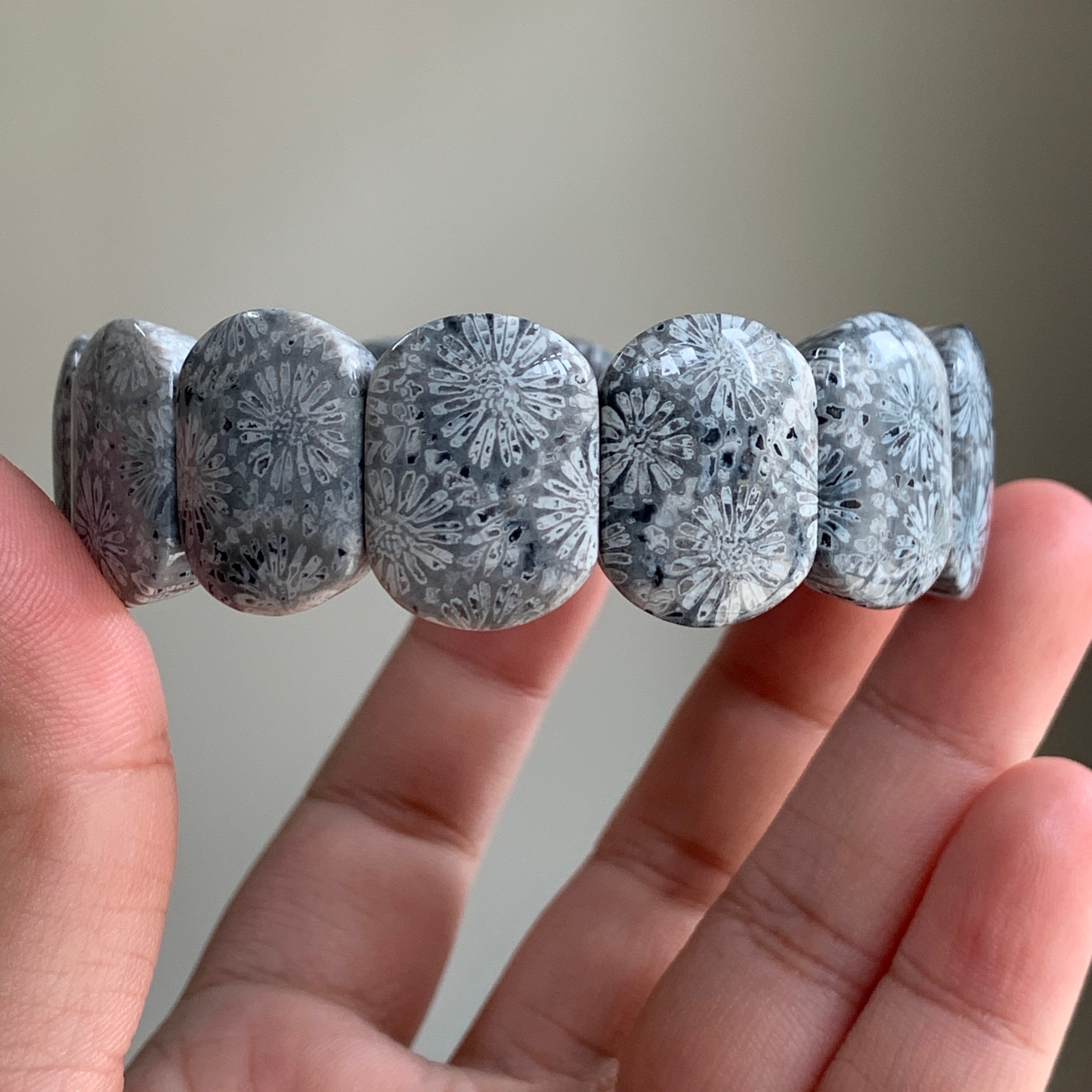 藍灰色珊瑚玉｜Souji Crystal｜稀有品🌟