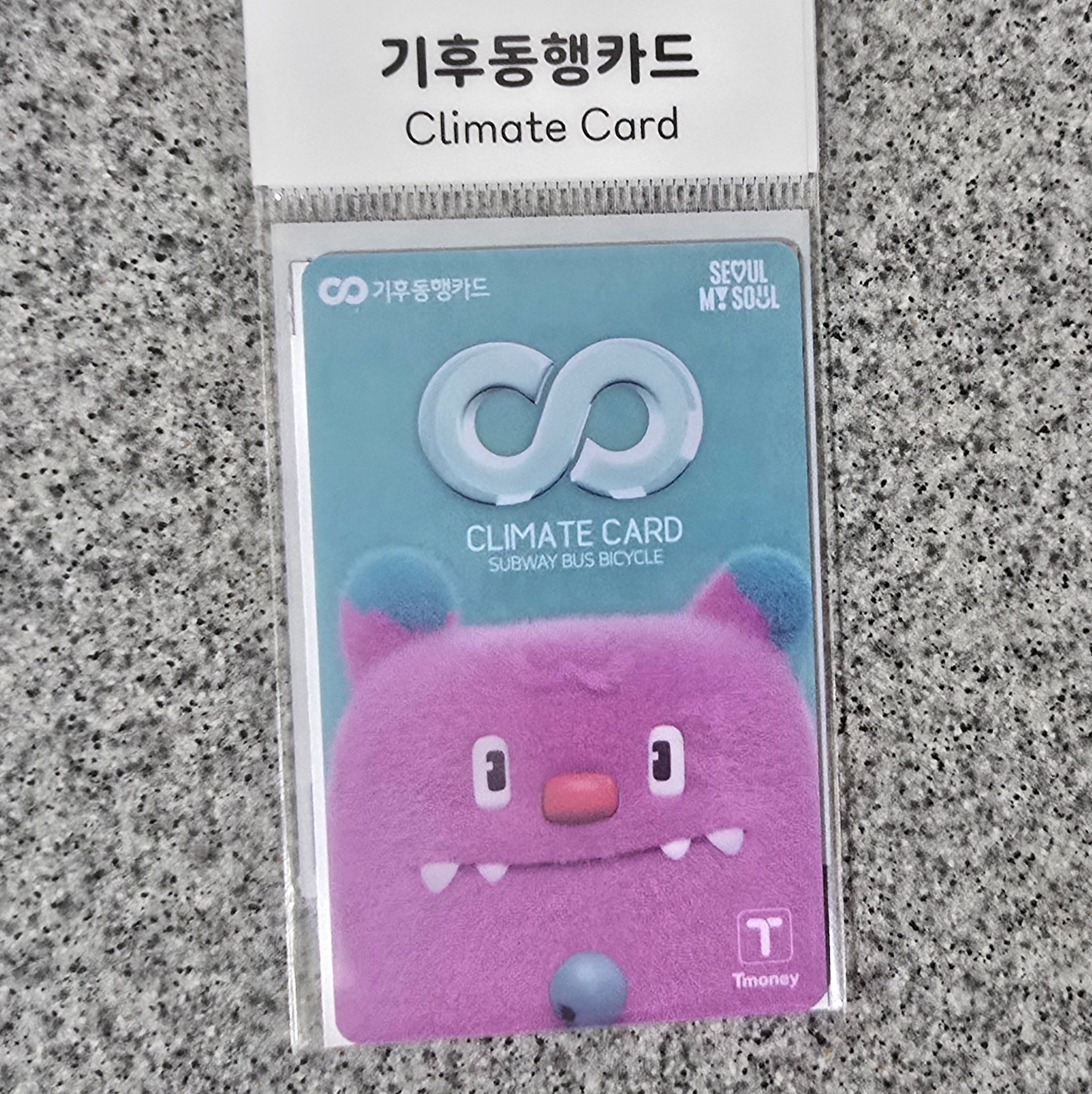 韓國氣候同行卡 交通卡 Tmoney