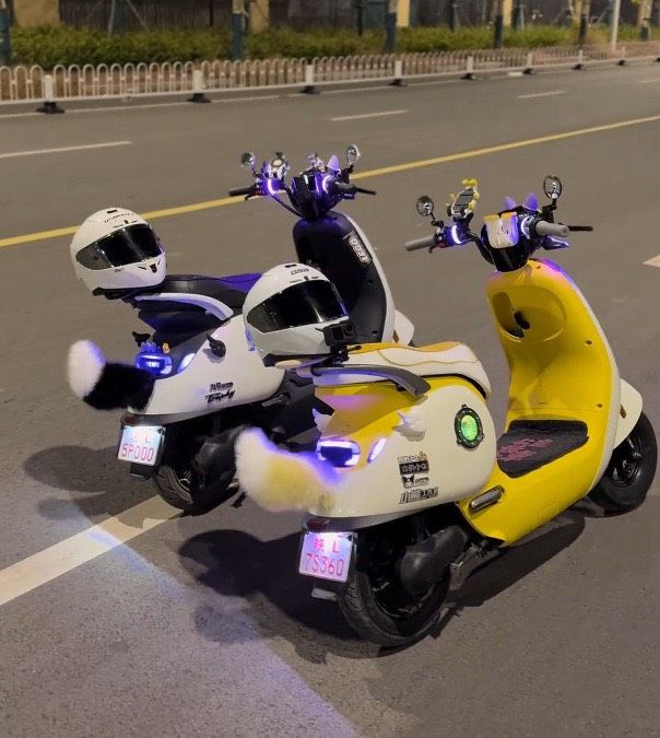 【TAI AUTO】車用電動感應搖擺小尾巴  A197