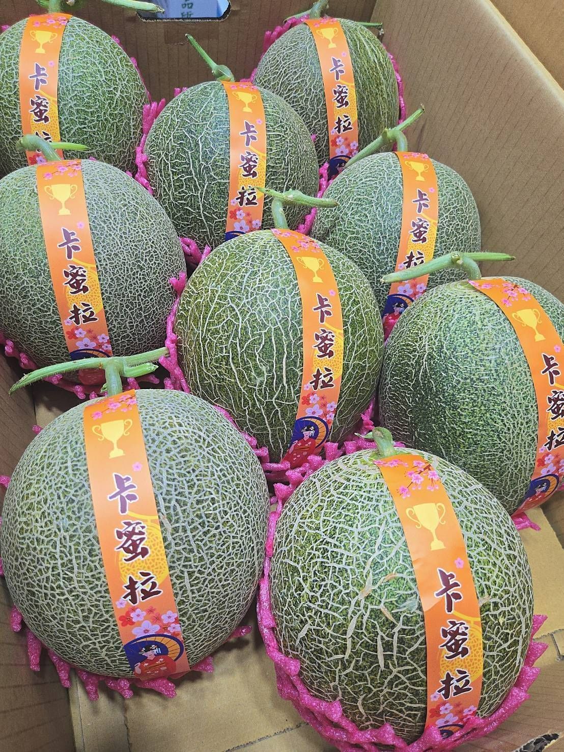 埔里頂級焦糖卡蜜拉哈密瓜