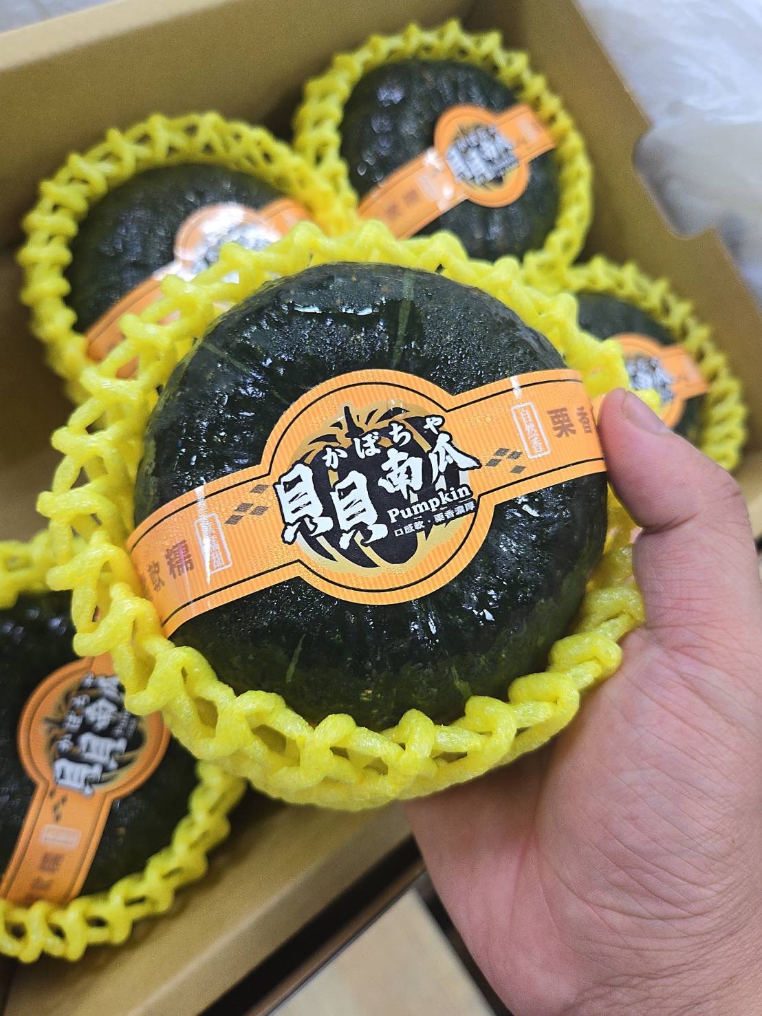 貝貝南瓜