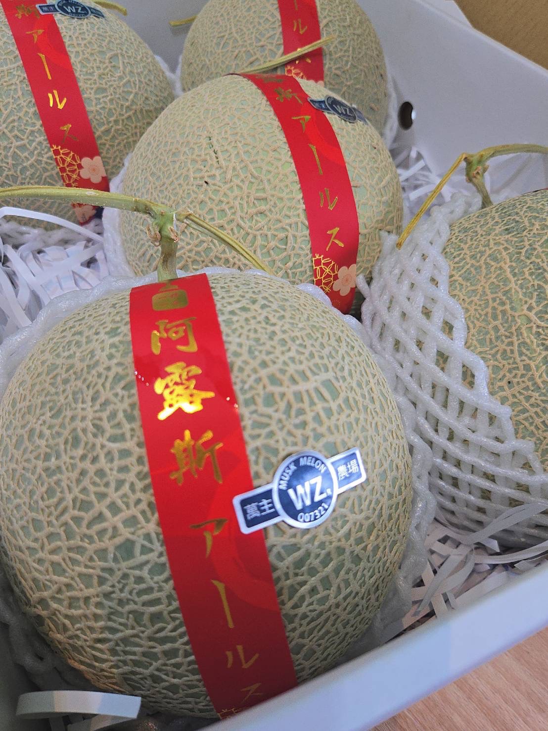 萬主農場阿露斯/一般阿露斯哈密瓜🍈（綠肉）