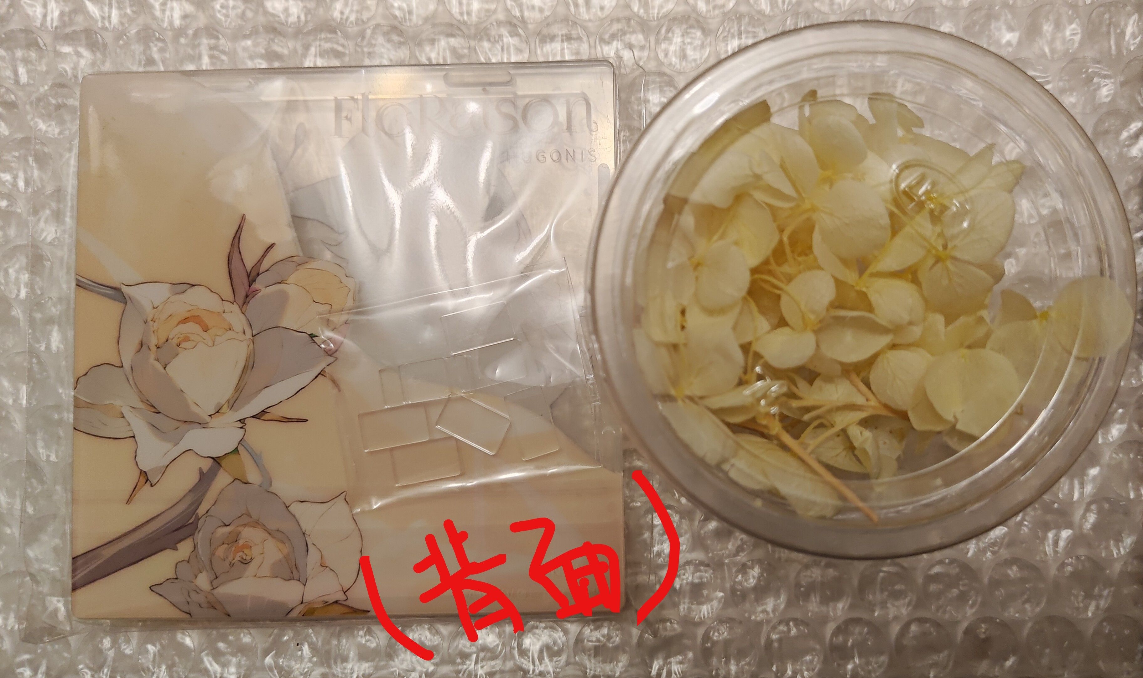 原神_同人_女角