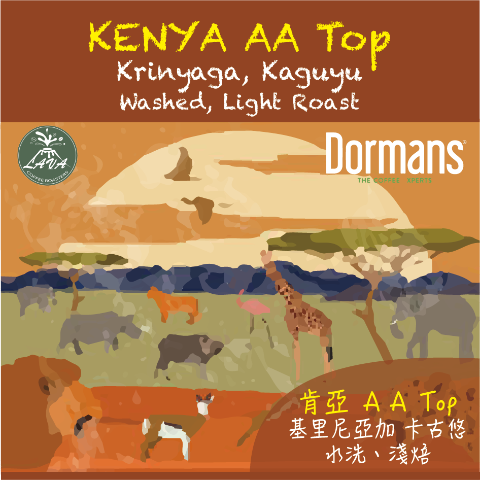 KENYA Kaguyu Washed 水洗｜淺焙