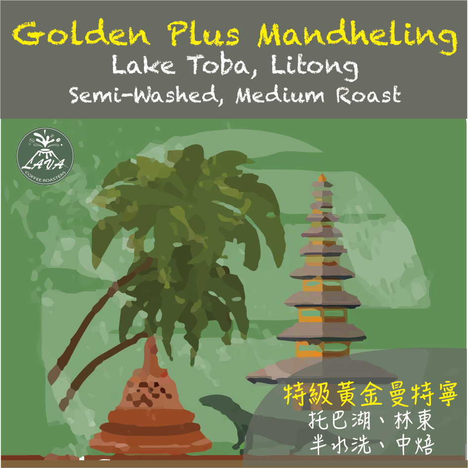 SUMANTRA Golden Mandheling 半水洗｜中焙｜黃金曼特寧