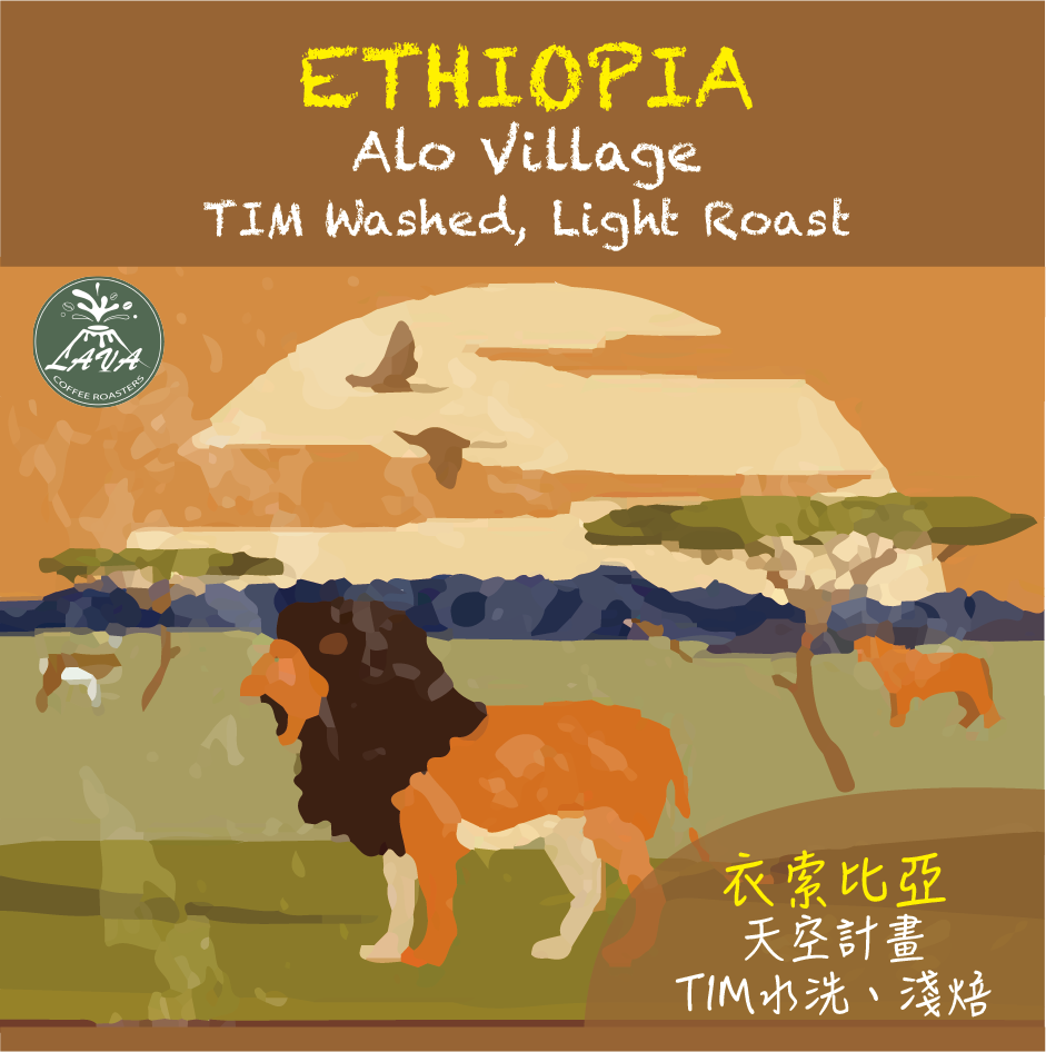 ETHIOPIA Alo Village TIM Washed 水洗｜淺焙 ｜天空計畫