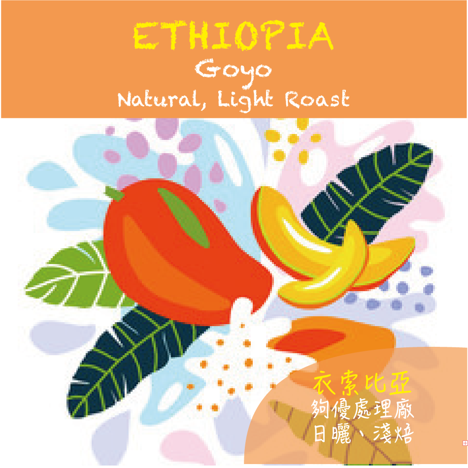 ETHIOPIA Goyo Natural 日曬｜淺焙