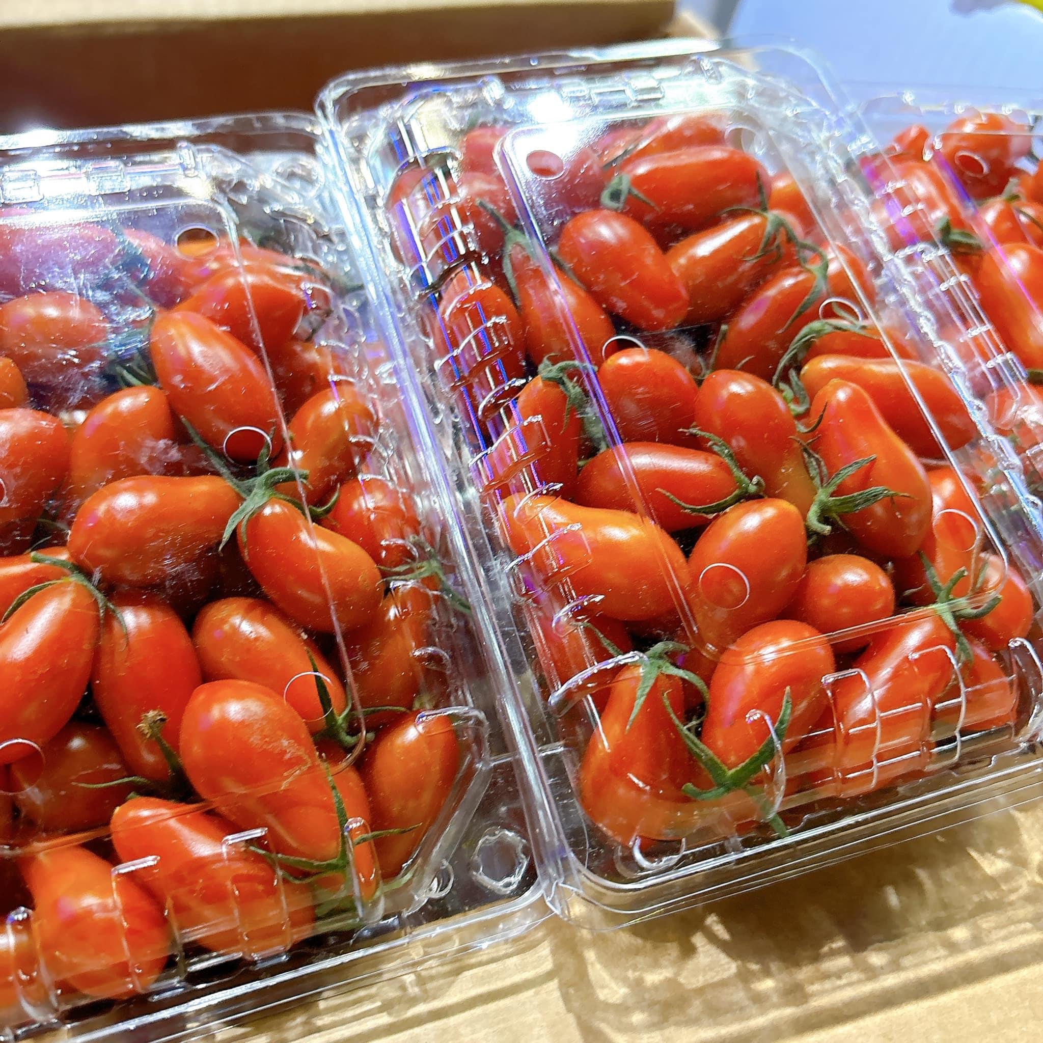 玉女小蕃茄🍅