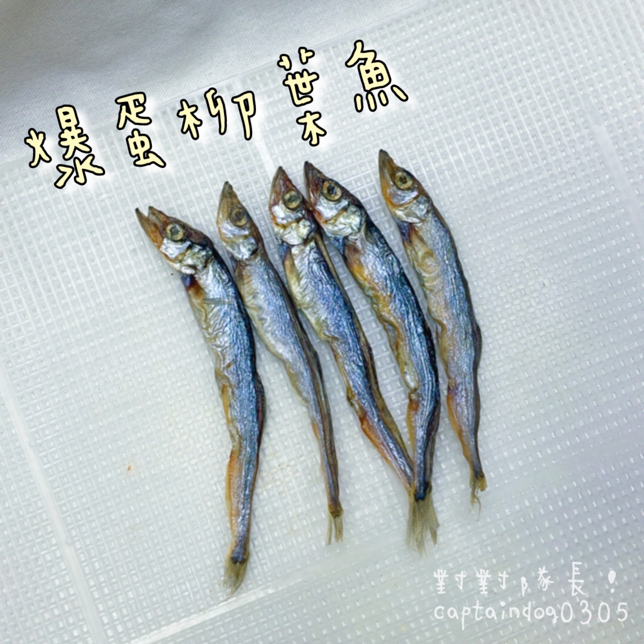 原味肉肉-魚魚站