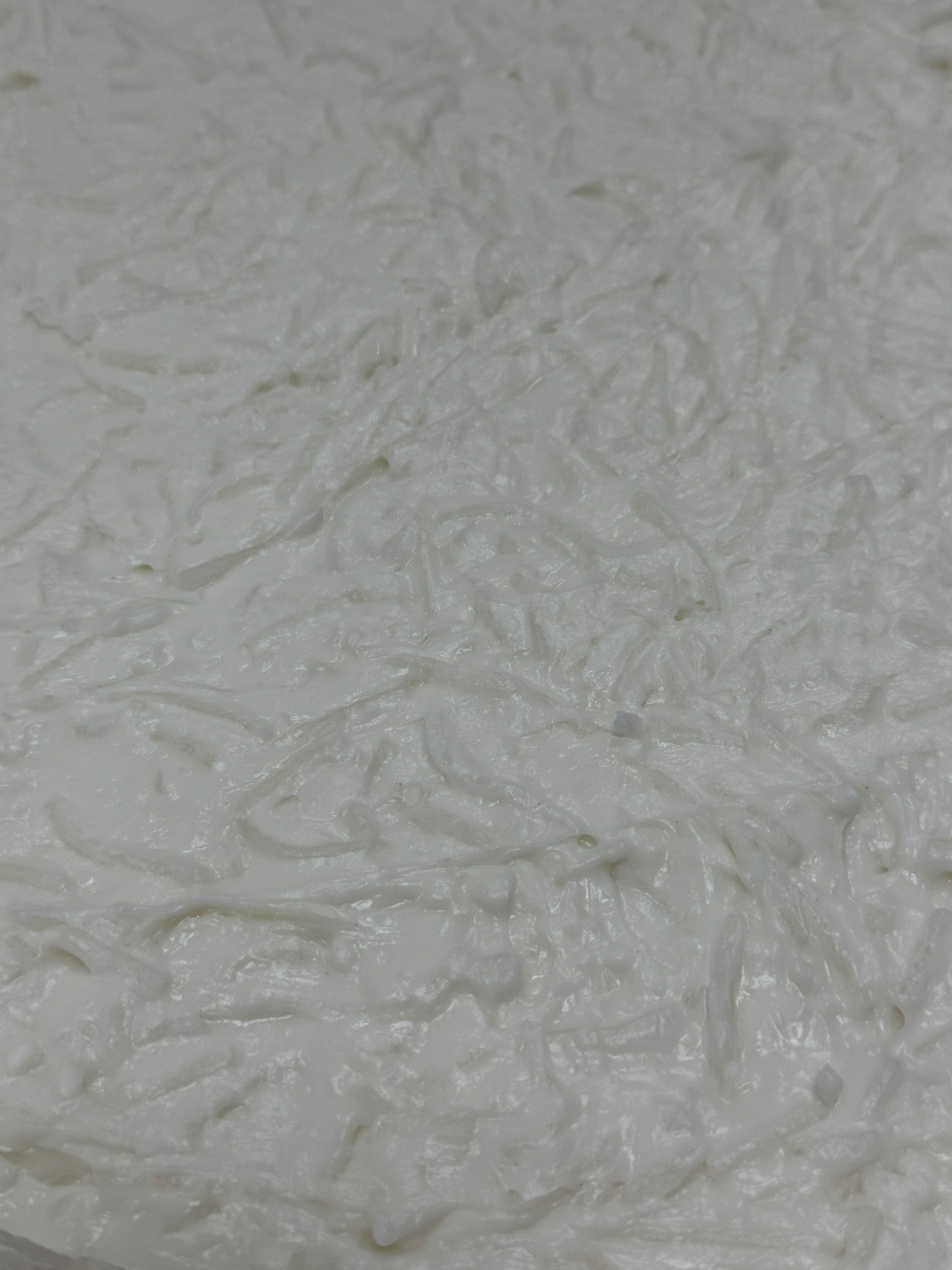 純素蘿蔔糕 吃得到蘿蔔的真蘿蔔糕 素蘿蔔糕