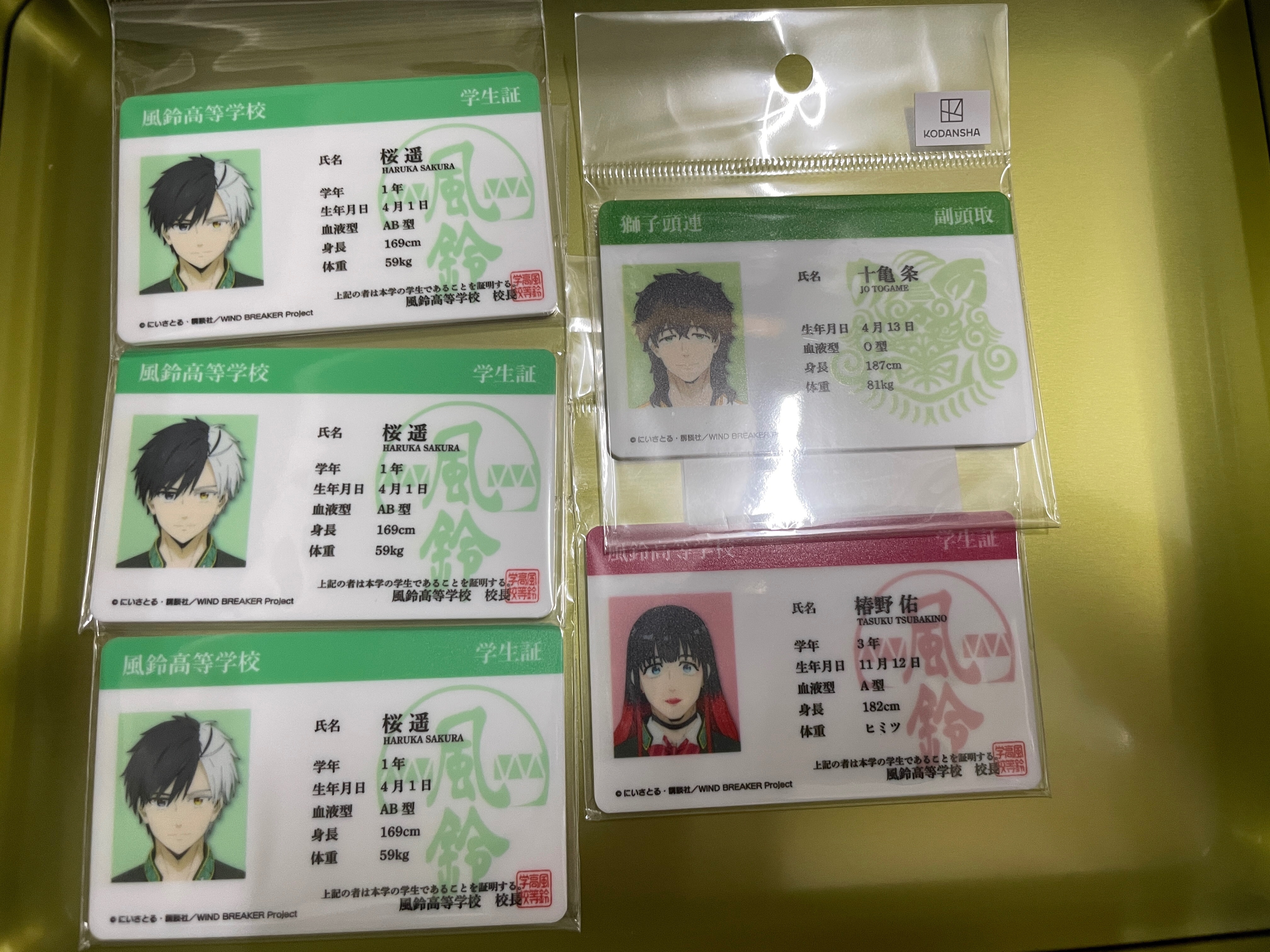 Y Line PVC學生證