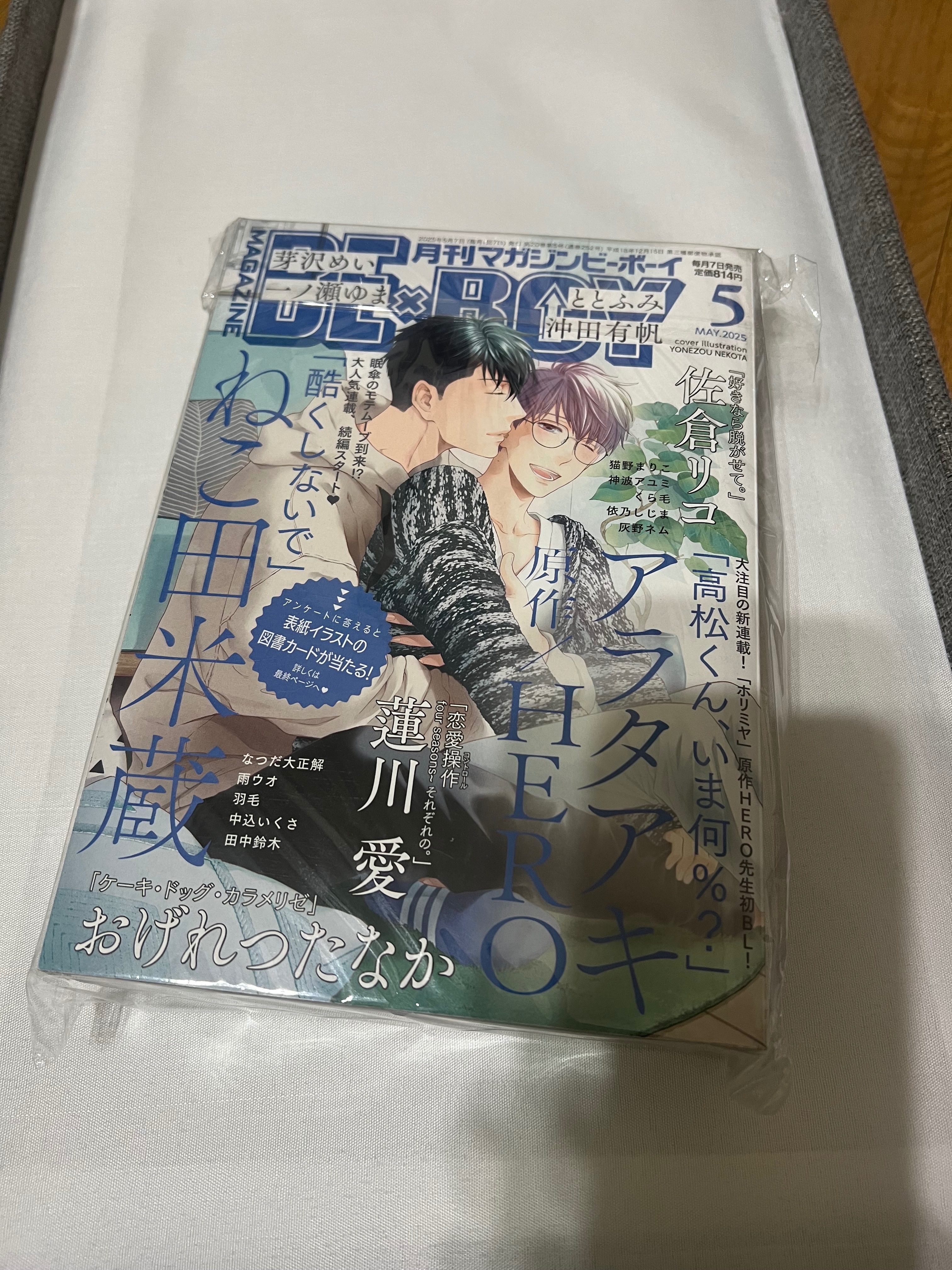 日雜 Magazine BExBOY Be×Boy マガジンビーボーイ