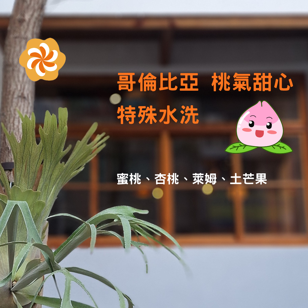 哥倫比亞 桃氣甜心   特殊水洗（極淺焙）