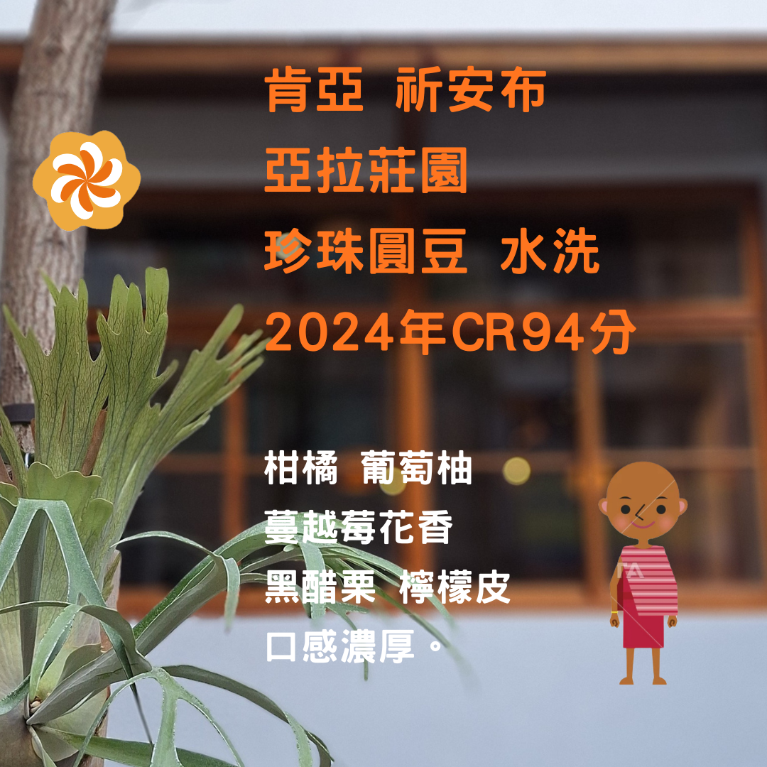 肯亞 祈安布 亞拉莊園 珍珠圓豆 水洗 2024年CR94分（淺中焙）