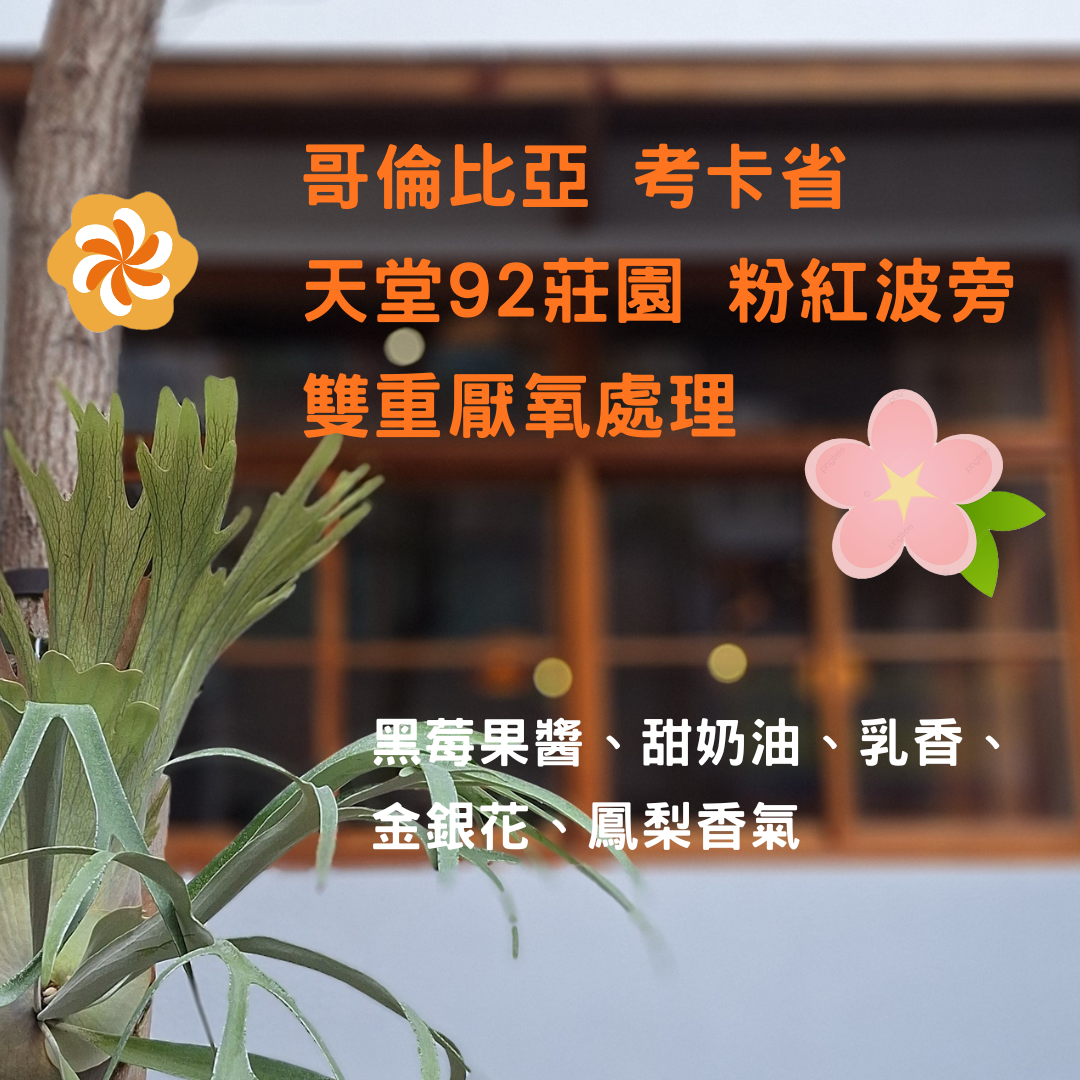 哥倫比亞 考卡省 天堂92莊園 粉紅波旁 雙重厭氧處理（淺焙）