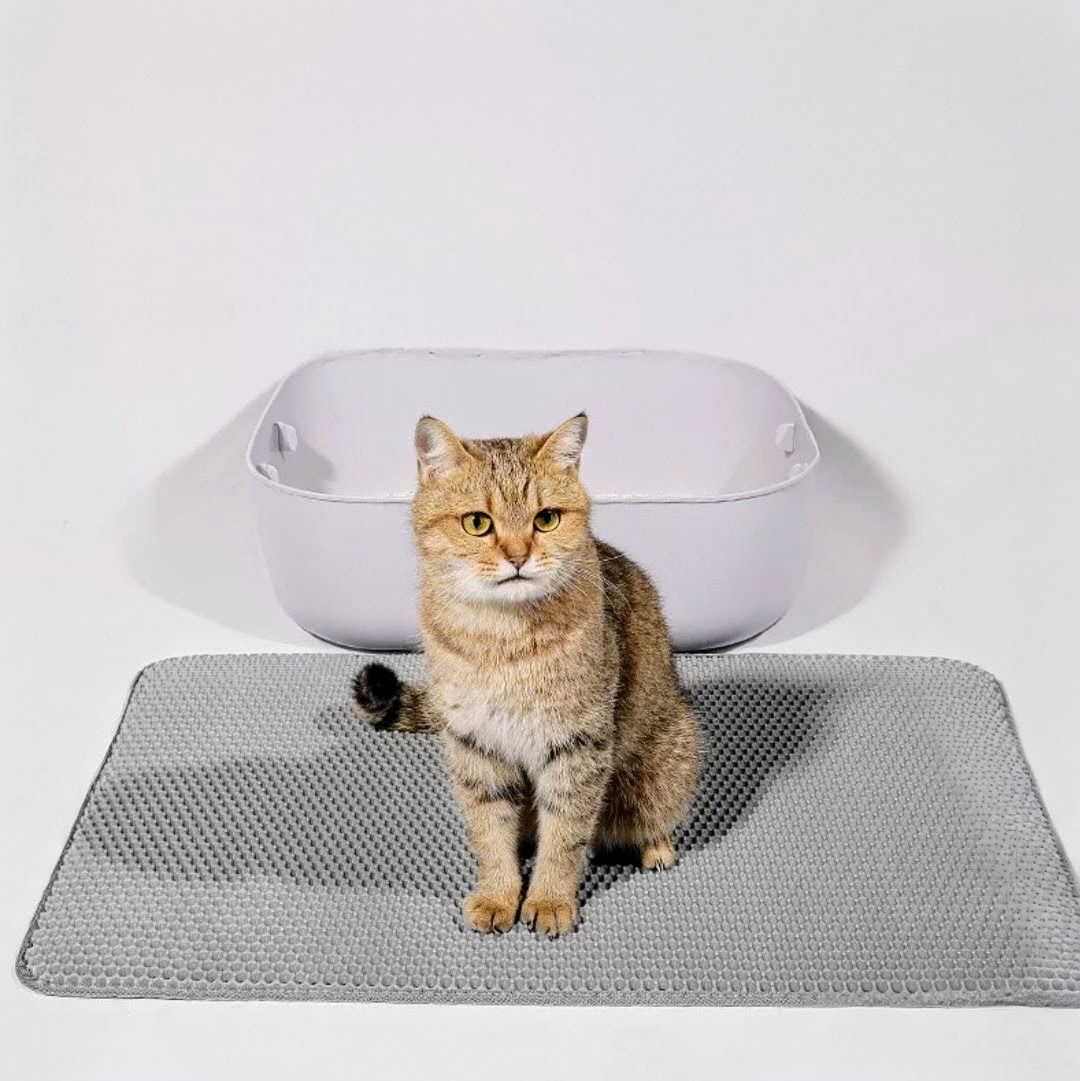 貓砂墊 雙層落砂墊 （❗預購優惠價格 需等待約7~10天