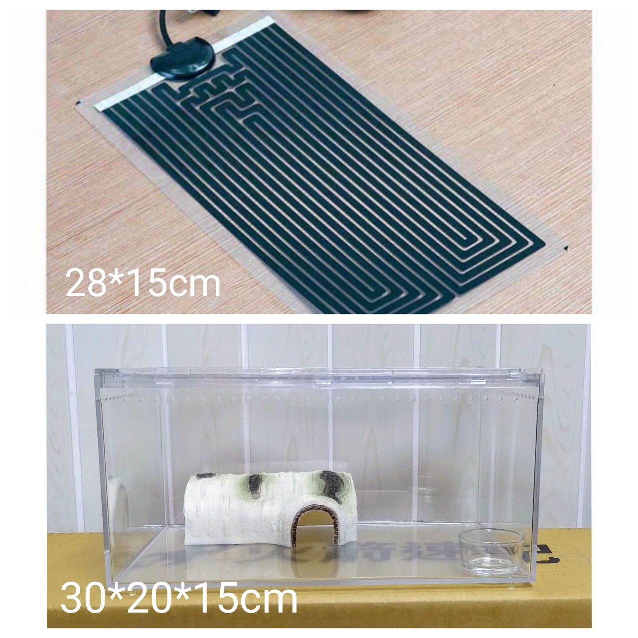 PC 爬蟲飼養箱套組 30cm 飼養箱